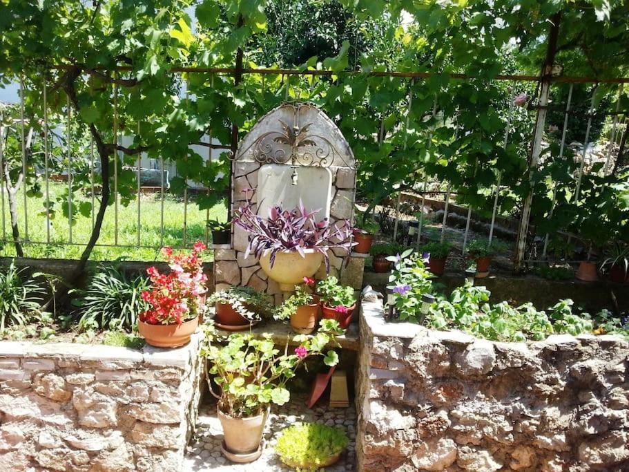 Apartment Quiet Center Misur *